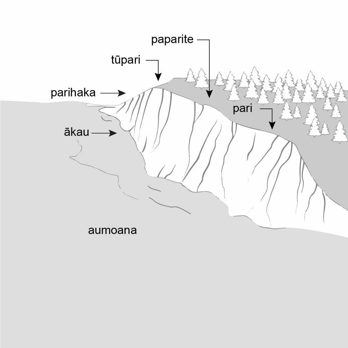 Drawing of a bluff with trees above and a body of water below. 
