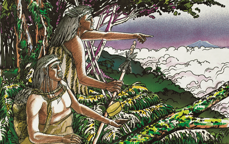 Colour drawing of Kupe and one other Māori man looking out from high in a forest towards a mountain peak above clouds in the distance.