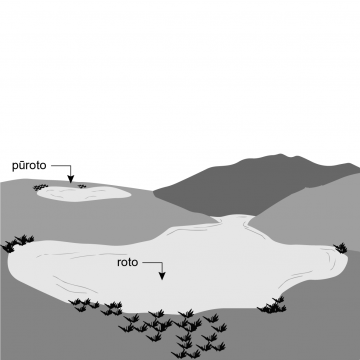 Drawing of a lake with plants around it and a small hill behind it. Also pictured is a small pond. 