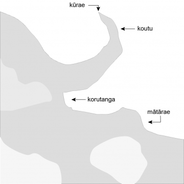 Drawing of a coastline with a peninsula, a small rounded promontory and a bight between the two. 